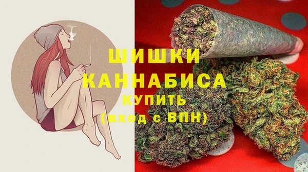 Альфа ПВП Арсеньев